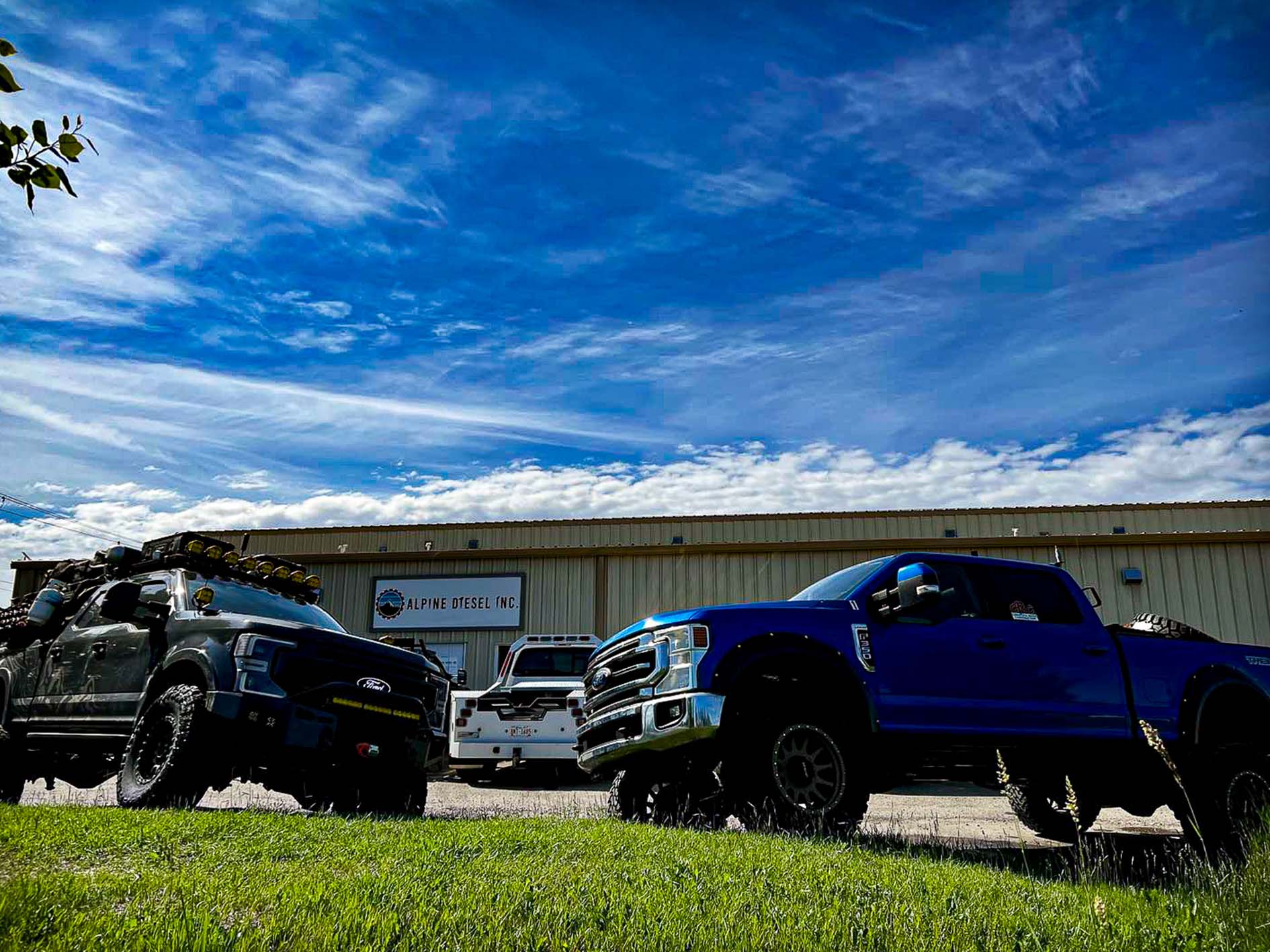 Alpine Diesel Alpine Diesel Inc’s New Website: The Diesel Community Hub You’ve Been ...