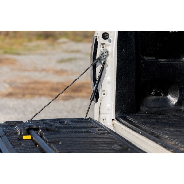 Tailgate Assist - Ford F-150 2WD 4WD (2004-2014)