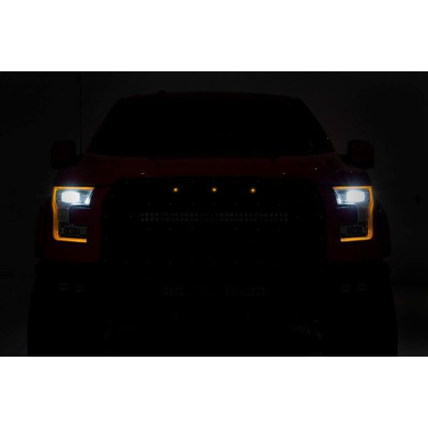 Rough Country LED Light - Mesh Grill Mount - Amber Marker - Ford F-150 (15-17)